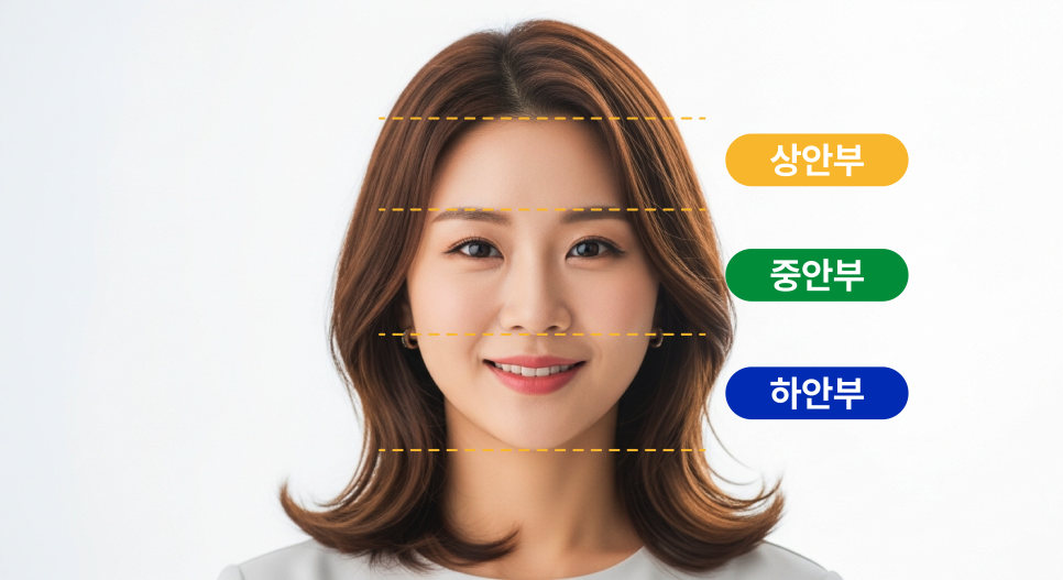 A Review of Upper Lip Reduction Surgery for a Long-Looking Face, and the Aesthetics of Midface Harmony Seen Through Facial Proportions image 4