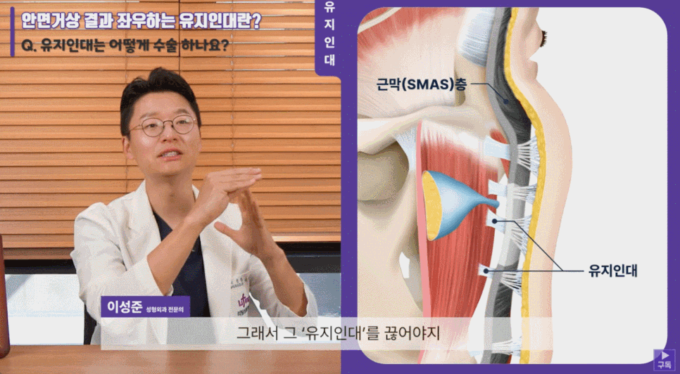 Before Looking for a Facelift Plastic Surgery Clinic image 5