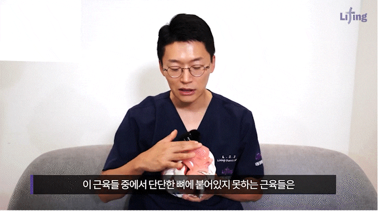 동안얼굴, 윤곽성형의 흐름이 바뀌다 | 미니윤곽술 서울점의 접근법 관련 이미지 6