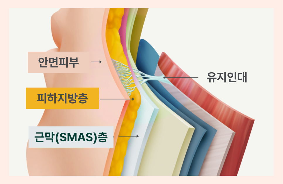 윤곽성형을 고민하게 되는 광대콤플렉스, 원인은 뼈만이 아닙니다 관련 이미지 6