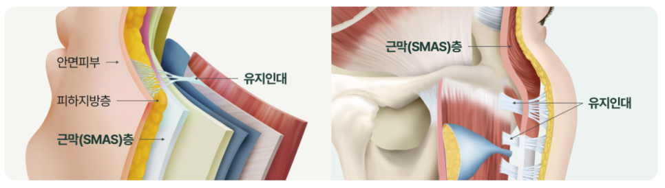 신사역리팅 안면거상술가격 차이, 비용보다 매우 중요한 건 ‘이것?’ 관련 이미지 4