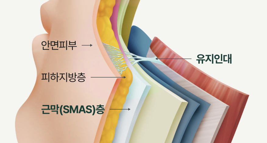 Subtle, Natural Beauty with Facial Wrinkle Lifting at Sinsa Station Leting Plastic Surgery image 11