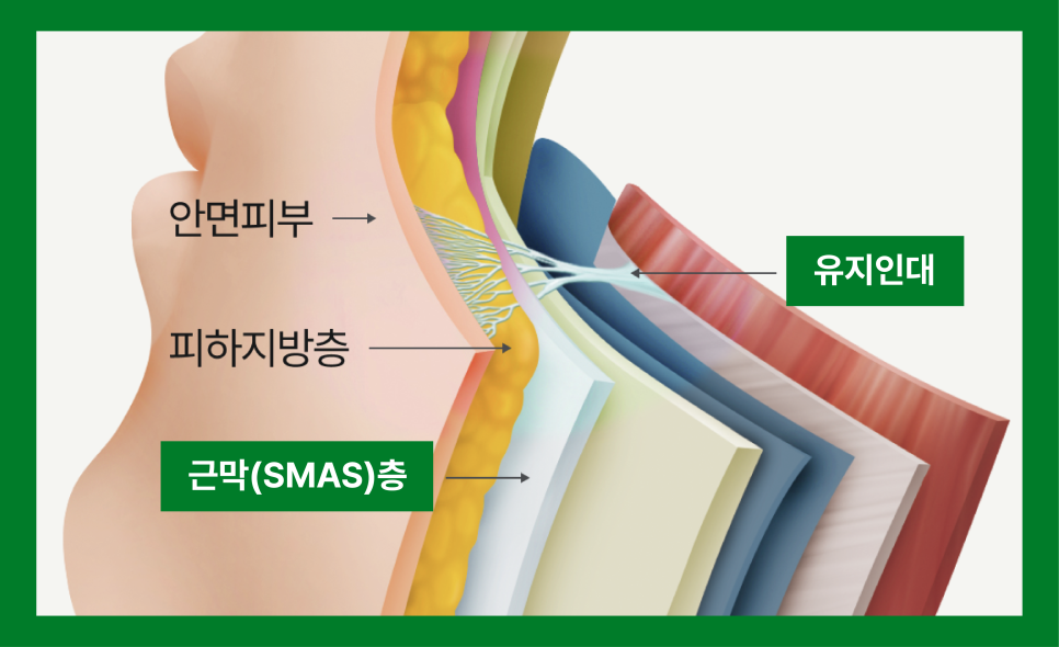 이중턱살시술, 처진얼굴리프팅후기로 확인하는 겨울철 흐려진 윤곽 라인 관리법 관련 이미지 7