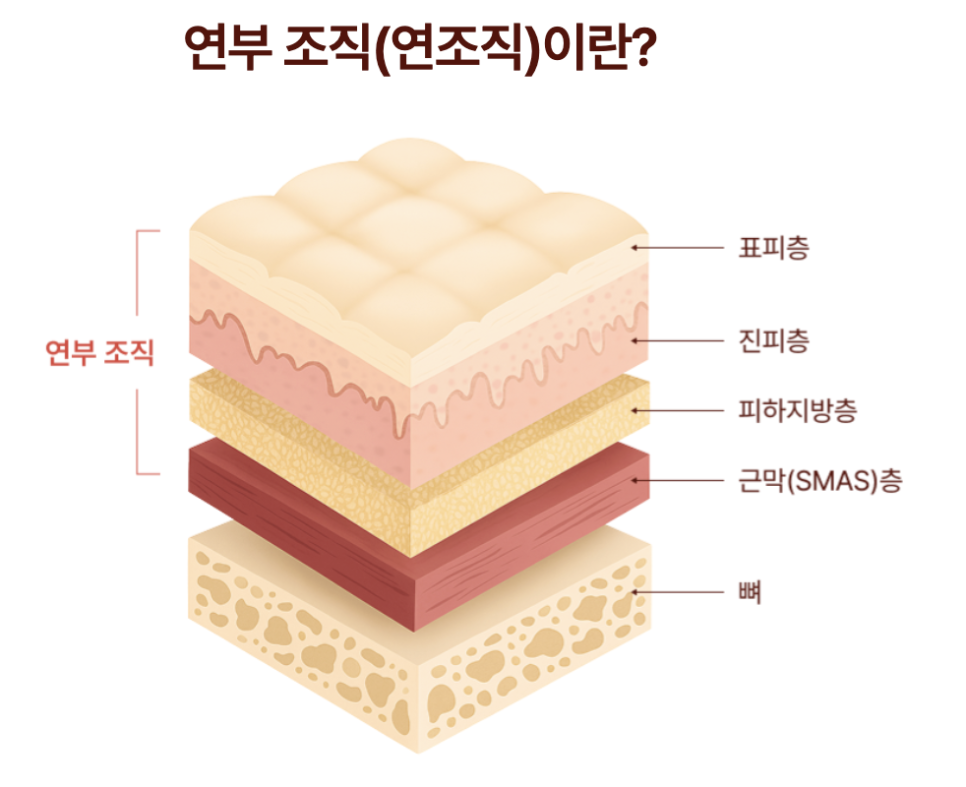동안얼굴, 윤곽성형의 흐름이 바뀌다 | 미니윤곽술 서울점의 접근법 관련 이미지 8