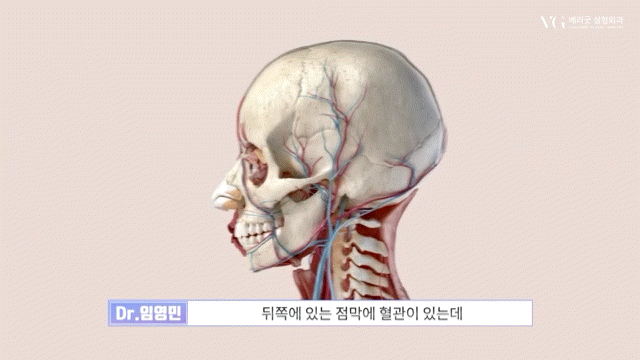 안전성형지향 강남성형외과 , 성형알아볼때 병원 선택법 ? 수혈가능한 병원으로 선택하세요 관련 이미지 12