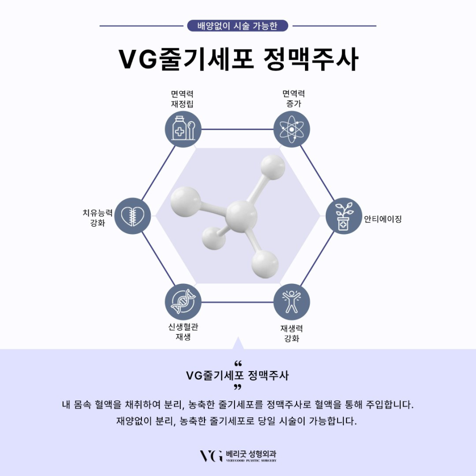 강남 베리굿성형외과 , 줄기세포 시술로 피부 안티에이징부터 탈모 치료효과까지 관련 이미지 4