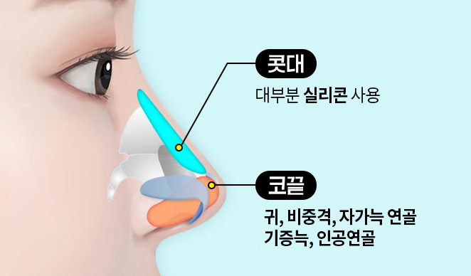 자가늑연골을 활용한 코 성형, 어떤 특징이 있을까요 관련 이미지 5