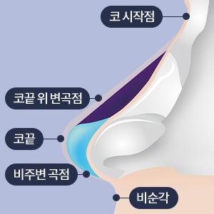 Male Nose Surgery: A Choice for Aesthetic Balance and Functional Improvement image 1