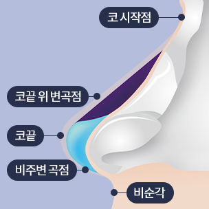 남성 코끝 성형, 조화로운 직선 코 라인 만들기 관련 이미지 1