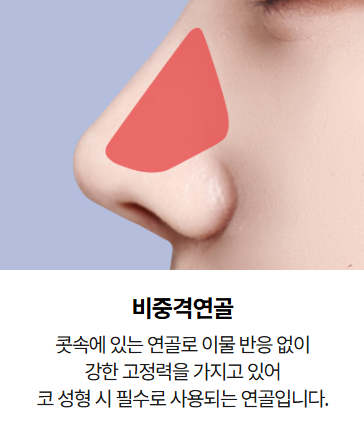 짧은코,들창코 이 경우 비중격 연장술이 꼭 필요할까? 관련 이미지 3