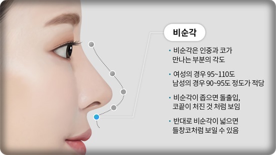 코성형, 얼굴 균형을 고려한 5가지 핵심 포인트 관련 이미지 5
