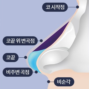 What Is Contracted Nose? Causes That Can Lead to Revision Rhinoplasty and Key Management Points image 4