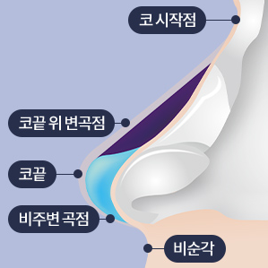Non-Implant Rhinoplasty: How to Naturally Improve the Nose Line image 4