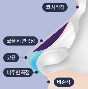 자가늑연골로 복코코끝성형 하는 방법은 관련 이미지 7