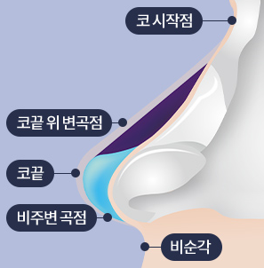What to Consider for Your First Nose Surgery for a Natural Result image 4