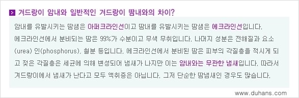 [두한성형외과 성형 FOCUS 지방흡입] - [액취증 - 다한증 초음파 컷터 지방흡입 ②] 관련 이미지 6