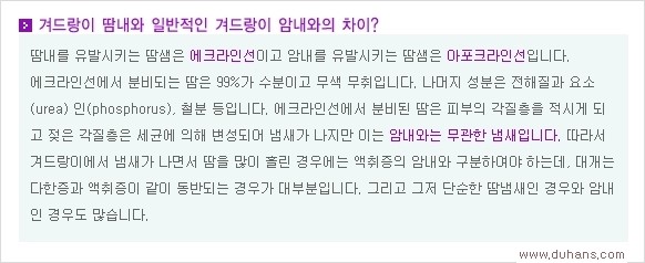 [두한성형외과 경쟁력 액취증 다한증 치료] - [겨드랑이 다한증 치료 방법] 관련 이미지 3