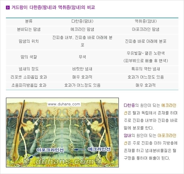[두한성형외과 성형 FOCUS 지방흡입] - [액취증 - 다한증 초음파 컷터 지방흡입 ⑤] 관련 이미지 9