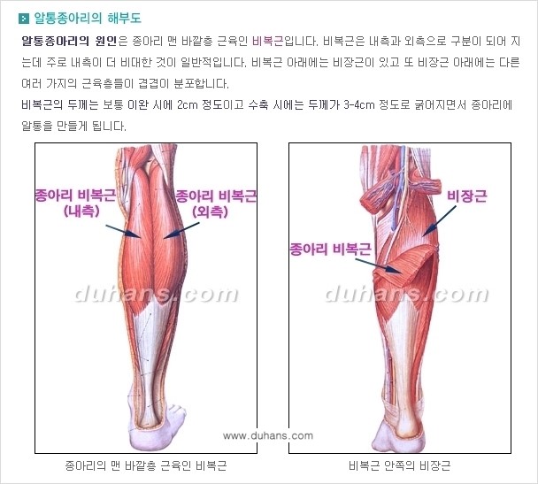 ​[두한성형외과 날씬한 종아리 만들기!] - [간편하고 안전한 종아리 축소방법 ①] 관련 이미지 6