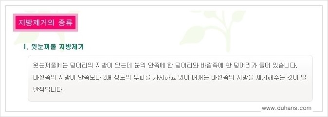 [두한성형외과 경쟁력 지방제거] - [윗눈꺼풀 지방제거, 아랫 눈꺼풀 지방제거  안내 1.] 관련 이미지 2