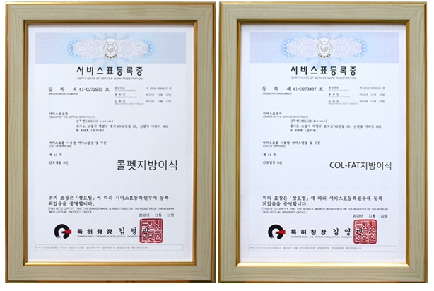 Fat Grafting Leader Duhan Plastic Surgery - Everything About Fat Grafting image 1