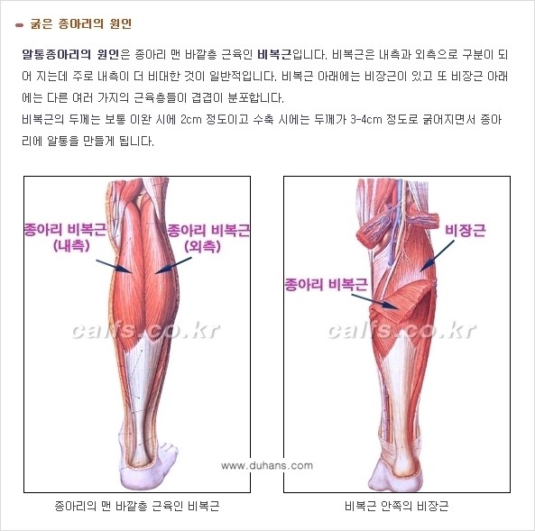 [두한성형외과 경쟁력 있는 종아리성형] - [초음파 유도 신경차단술 1.] 관련 이미지 8