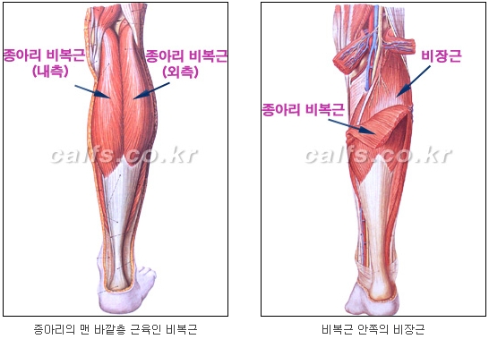 [두한성형외과 종아리퇴축술] - [NO절개! 초음파유도신경차단술] 관련 이미지 6