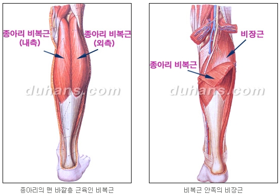 [Duhan Plastic Surgery Calf Reduction] - [How to Get Rid of Calf Muscle Bulges] image 5