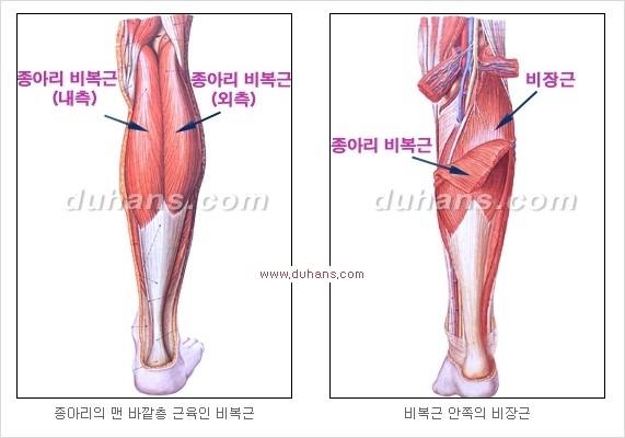 [두한성형외과 경쟁력 멀티 종아리성형] - [여러 가지 종아리 성형 방법의 단점 안내] 관련 이미지 4