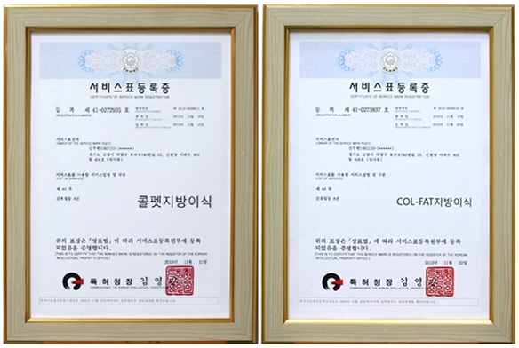 [Duhan Plastic Surgery Facial Autologous Fat Grafting] - [Fat Grafting Guide] image 1