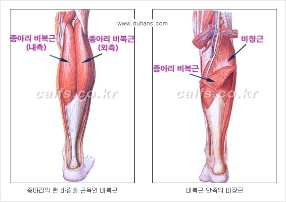 [두한성형외과 경쟁력 멀티종아리성형] - [종아리성형 방법별 전후 주의사항] 관련 이미지 2