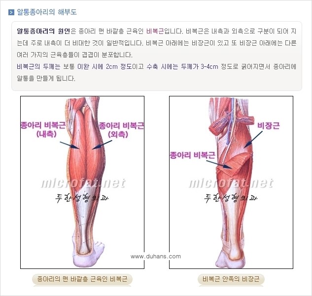 [두한성형외과 경쟁력 멀티종아리성형] - [초음파 유도 비절개 선택적 신경차단술의 효과] 관련 이미지 5