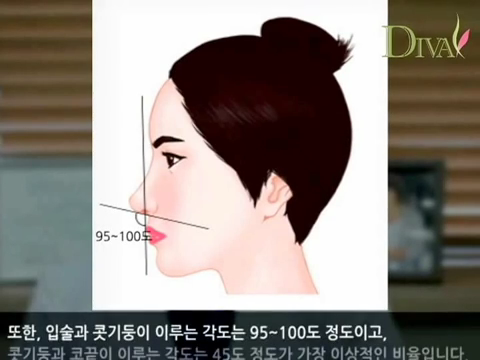 펑퍼짐한코 날렵한 느낌을 바란다면 관련 이미지 5