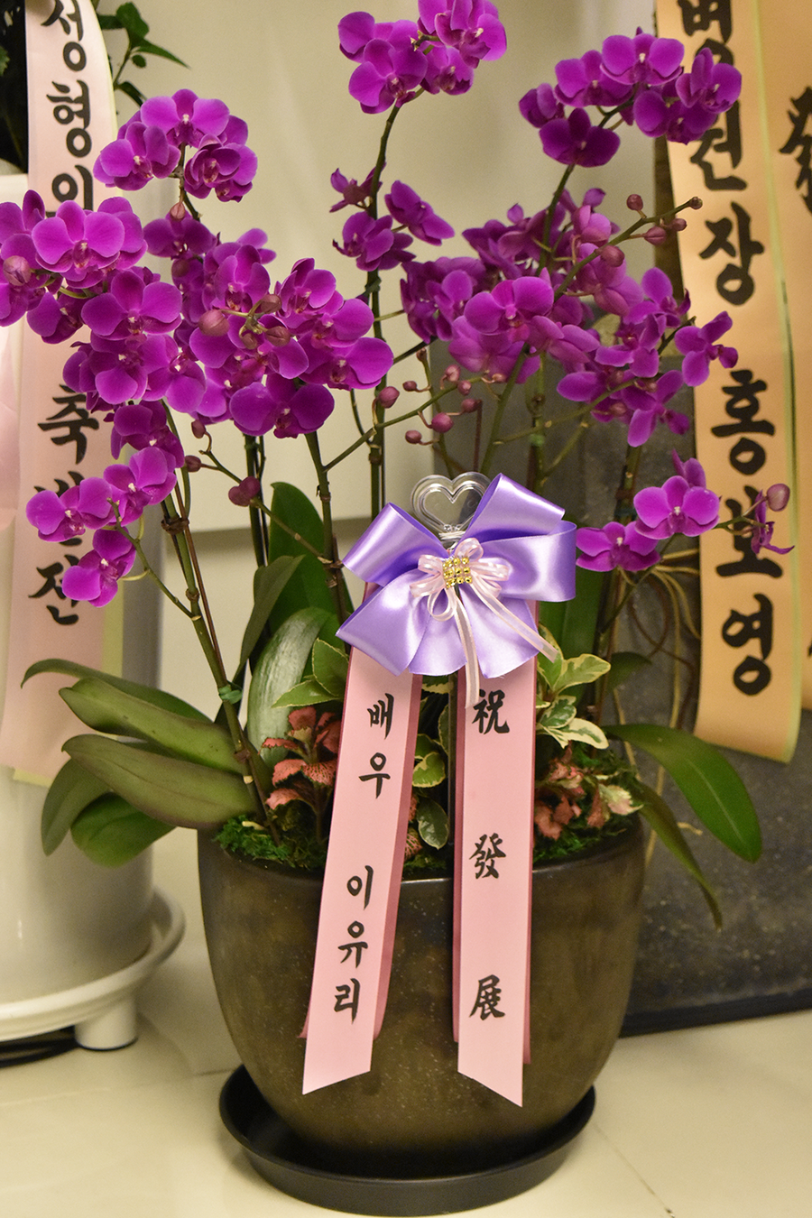 디바성형외과 확장이전 오픈식 하던 날♡ 관련 이미지 16