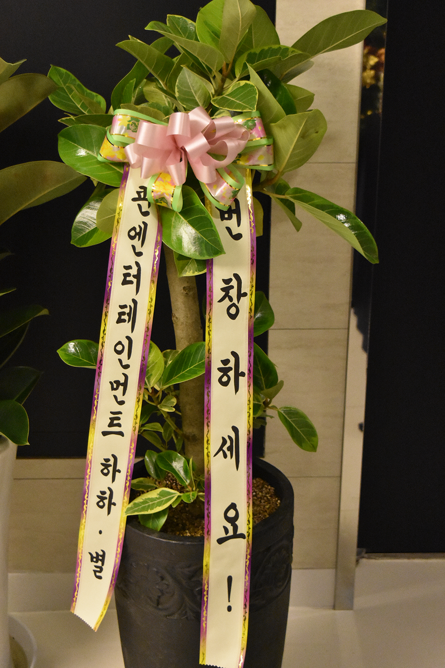 디바성형외과 확장이전 오픈식 하던 날♡ 관련 이미지 14