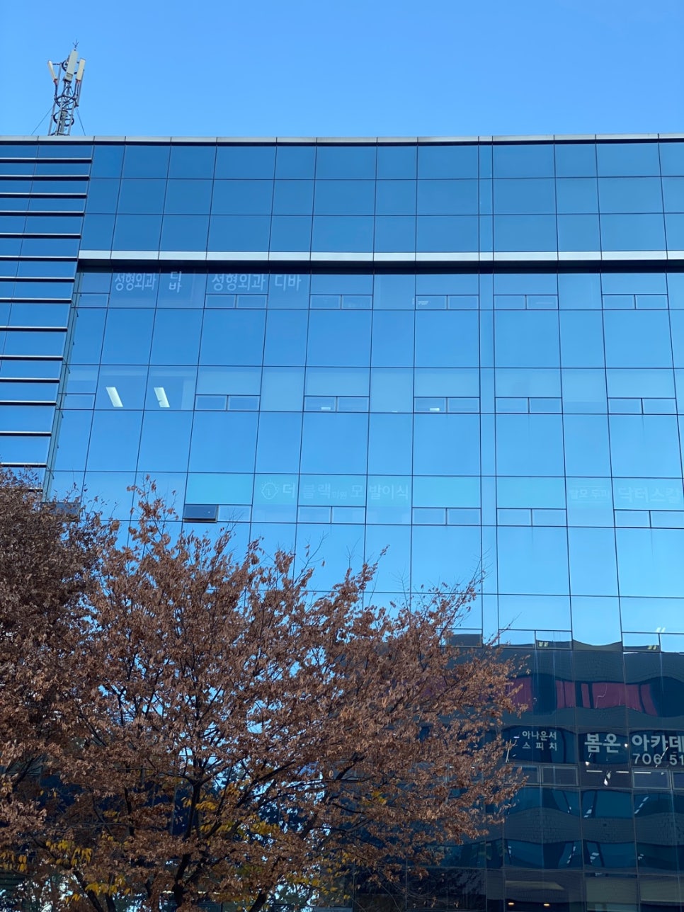 코성형보형물 나에게 적합한 대안으로 관련 이미지 4