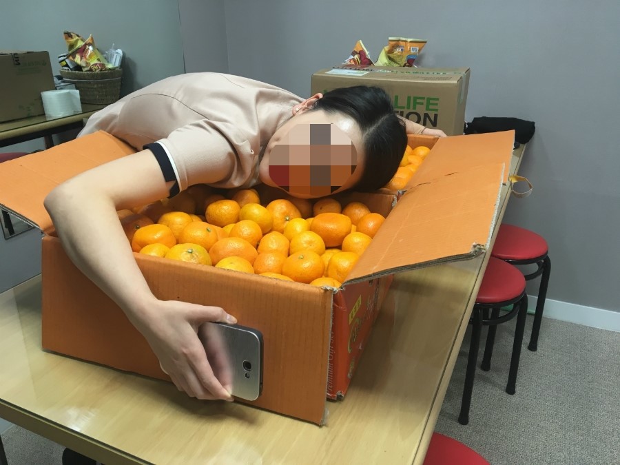 제주도에서 날아온 제주감귤, 맛있게 먹겠습니다♡ 관련 이미지 4