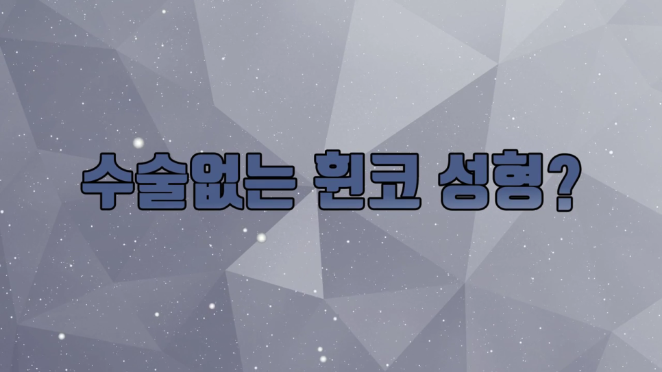 코끝축소 어울리는 방법은 관련 이미지 3