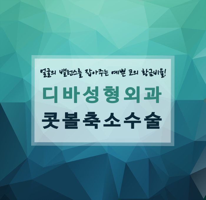 콧볼축소수술 얼굴의 밸런스를 잡아줘요! 관련 이미지 1
