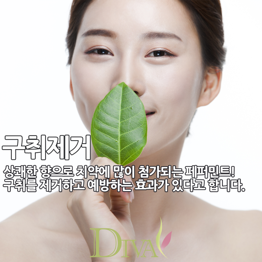 페퍼민트 효능, 겨울에 마시기 딱 좋은 차! 관련 이미지 4