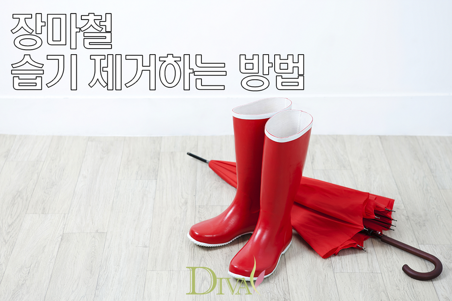 장마철 습기제거 방법 알아볼까요? 관련 이미지 1