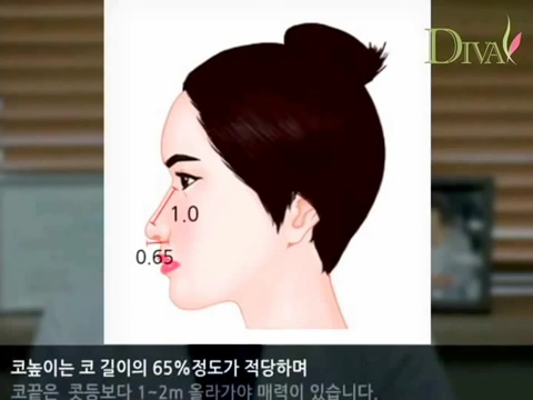 펑퍼짐한코 날렵한 느낌을 바란다면 관련 이미지 3