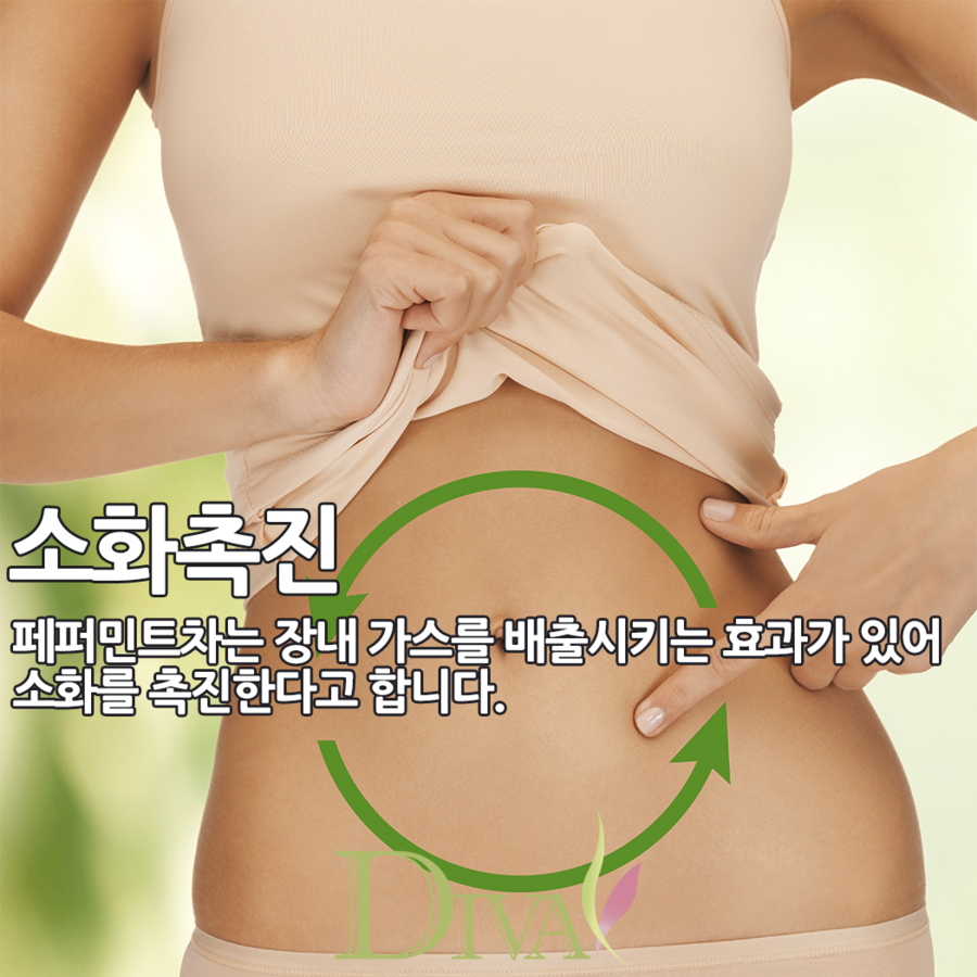 페퍼민트 효능, 겨울에 마시기 딱 좋은 차! 관련 이미지 5