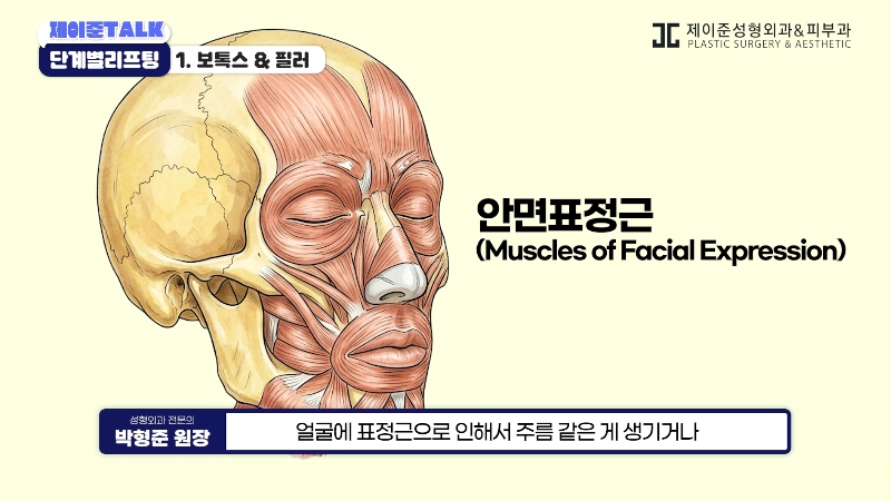 [제이준성형외과&middot;피부과] 보톡스부터 안면거상까지, 내 처짐 수준에 맞는 리프팅 선택법 관련 이미지 3