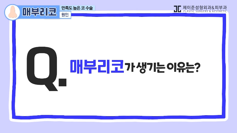 [제이준 유튜브] 유형별 코 성형, 가장 만족도 큰 매부리 코! 관련 이미지 3
