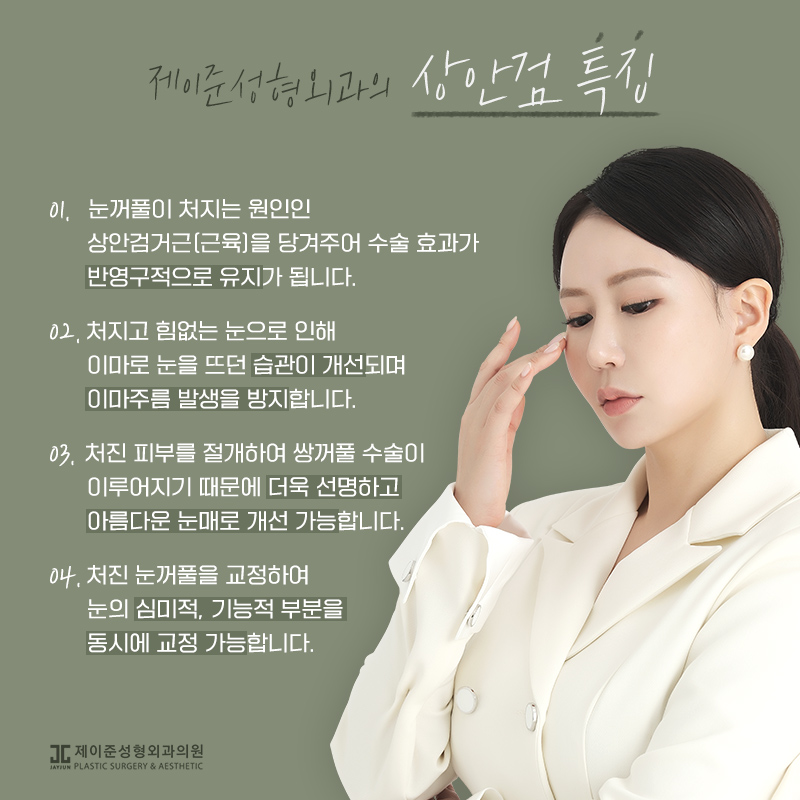 상안검과 하안검이란? 관련 이미지 8