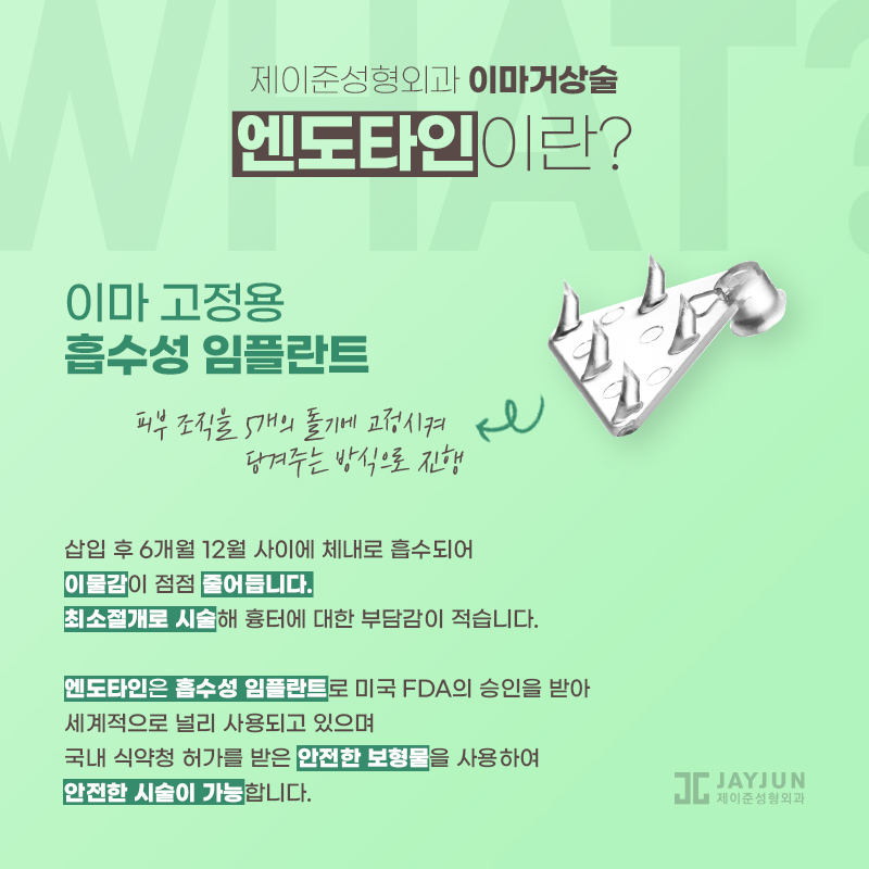 엔도타인 이마거상술 추천드리는 곳 관련 이미지 2