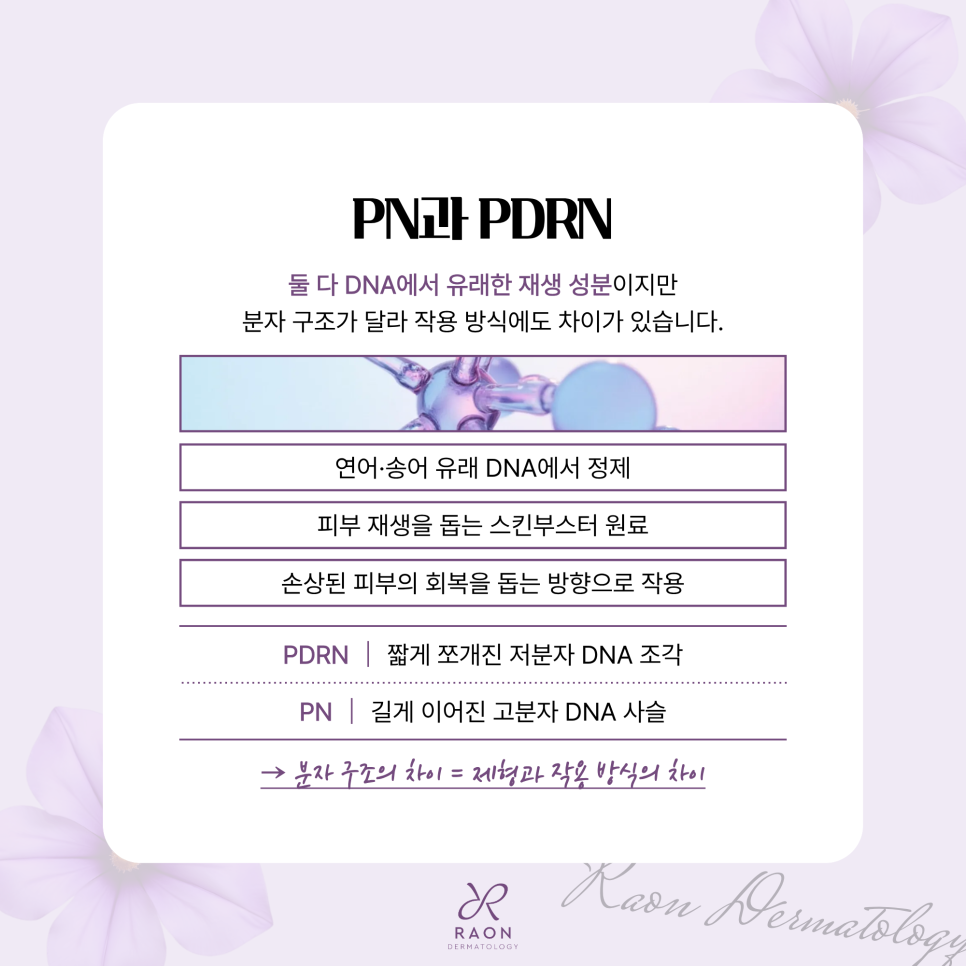 행당동 피부과 피부 재생 스킨부스터 PDRN과 PN의 차이점과 병행 시 장점 관련 이미지 2