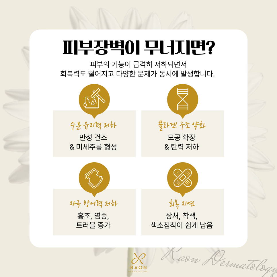 답십리 피부과 피부장벽 강화를 위한 스킨부스터, 피부장벽이 중요한 이유? 관련 이미지 3