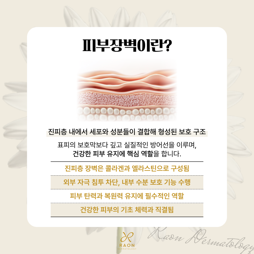 답십리 피부과 피부장벽 강화를 위한 스킨부스터, 피부장벽이 중요한 이유? 관련 이미지 2